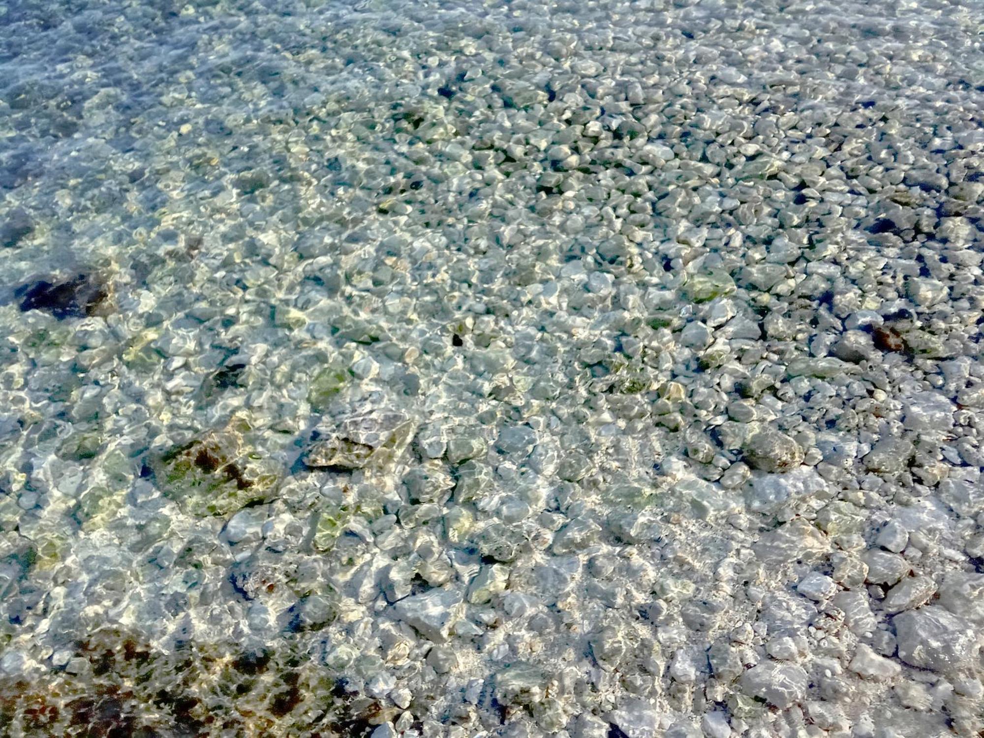 Accommodatie bij particulieren Adriatic Pearl *
